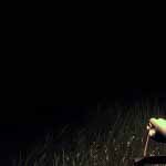 Переносной фонарь в темноте, The Curse of Blackwater