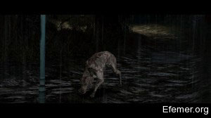 Пёсик в Resident Evil 6