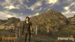 Облегчённая кожаная броня Fallout: New Vegas