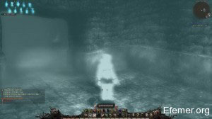 Форма души в игре Wizardy Online