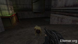 Хаундай в игре Half-Life: Opposing Force