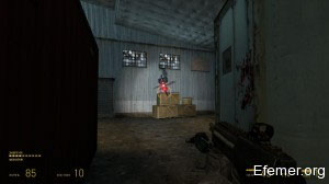 Манхэк Half-Life 2