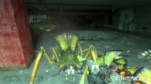 Муравьиный лев Half-Life 2: Episode One