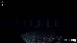 Ворота в Больницу The Curse of Blackwater