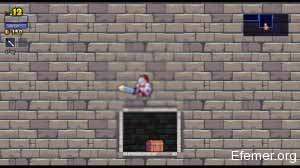 Секретик в игре Rogue Legacy