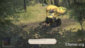 Bremodnt Final Fantasy XIV