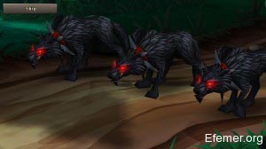 Dire Wolfs, Castle Storm