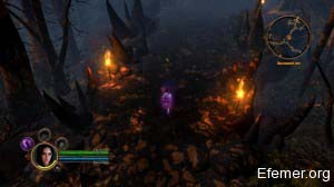 Западный лес Dungeon Siege III