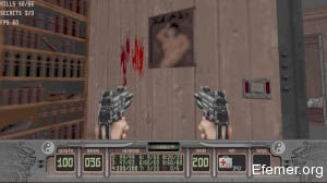 Фото девушки на стене Shadow Warrior Classic
