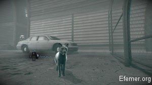 Вселение в кошку Murdered: Soul Suspect