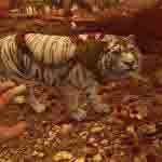 Read more about the article Far Cry 3 Связь Времён