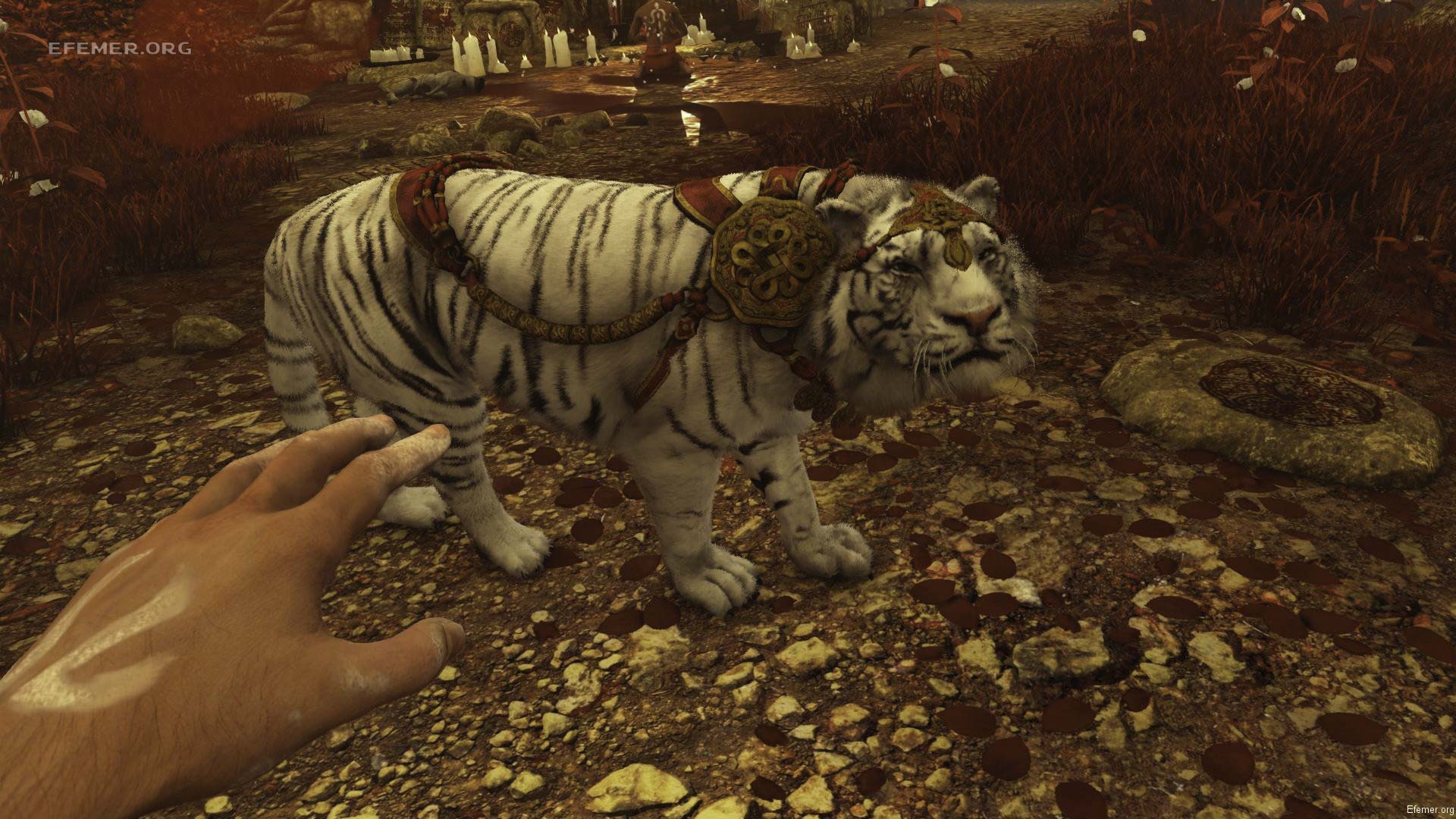 You are currently viewing Far Cry 3 Связь Времён