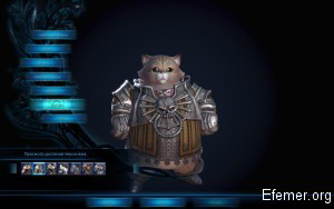 Кот из TERA online