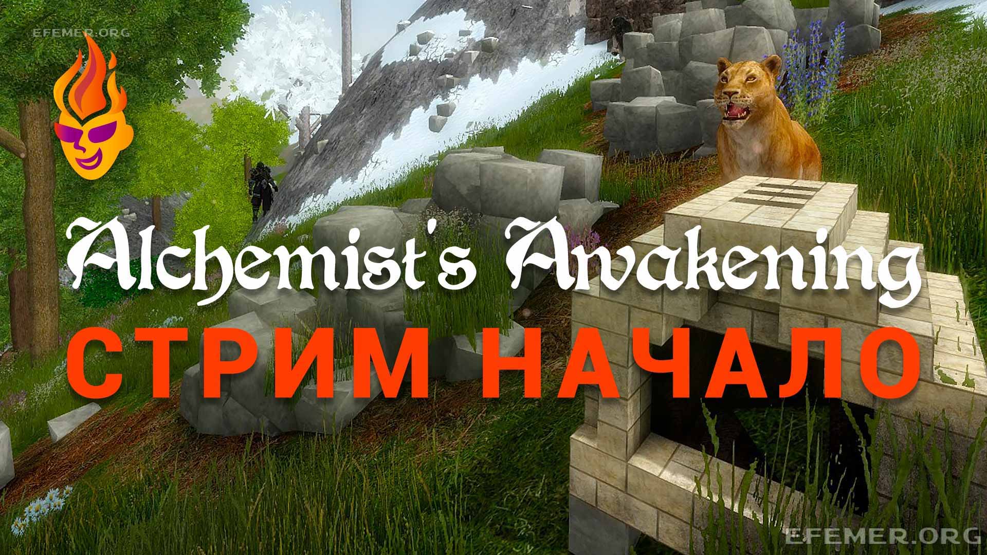 Read more about the article Игра Alchemist’s Awakening. Стрим. Начало