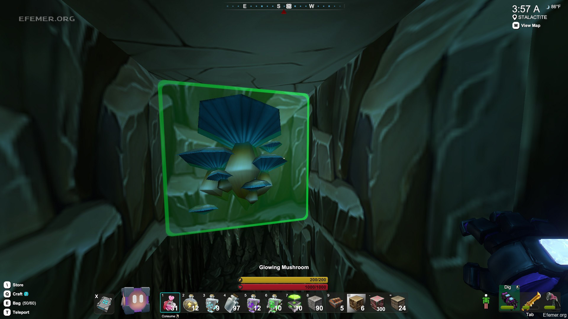 Святящийся гриб Скриншот святящихся грибов из игры Creativerse