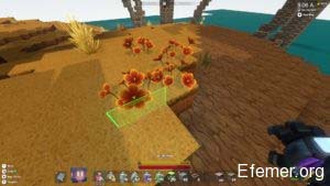 Скриншот полевых цветов из игры Creativerse