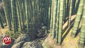 Русло ручья как ориентир для тайника №1, Shadow Warrior 2013