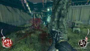 Чаша с кровью №4, расположенная около забора, Shadow Warrior 2013