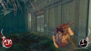 Двери, ведущие на ретро уровень, Shadow Warrior 2013