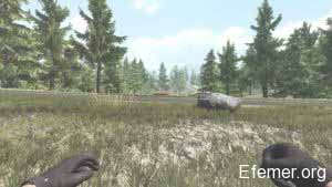 Скриншот рук игрока из Infestation: The New Z