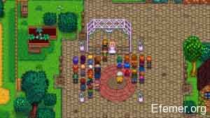 Скриншот свадьбы из игры Stardew Valley