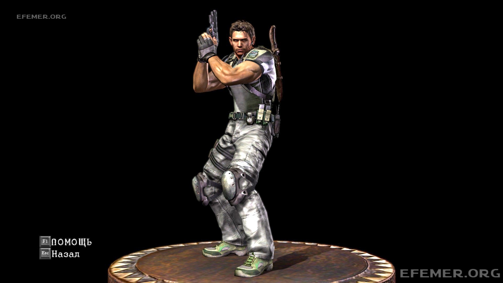You are currently viewing Все эмблемы 1 главы Resident Evil 5