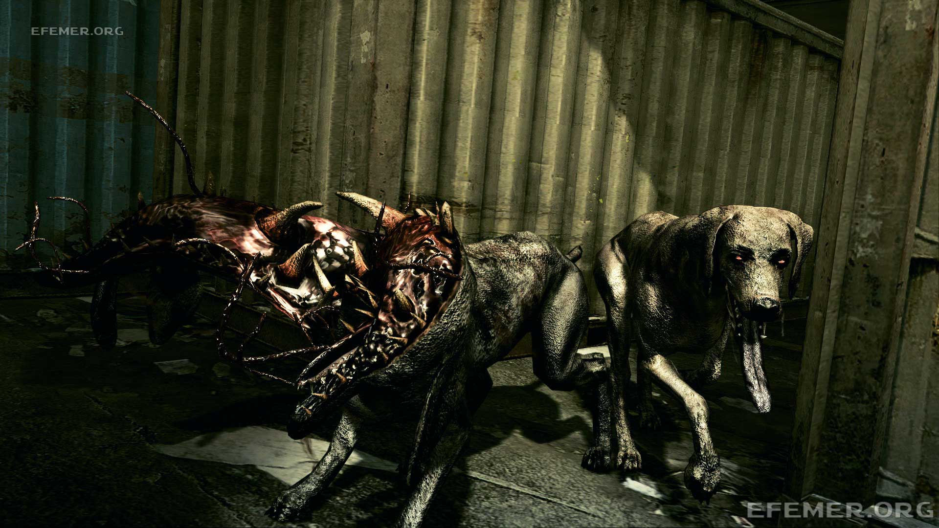 Read more about the article Все эмблемы 2 главы Resident Evil 5