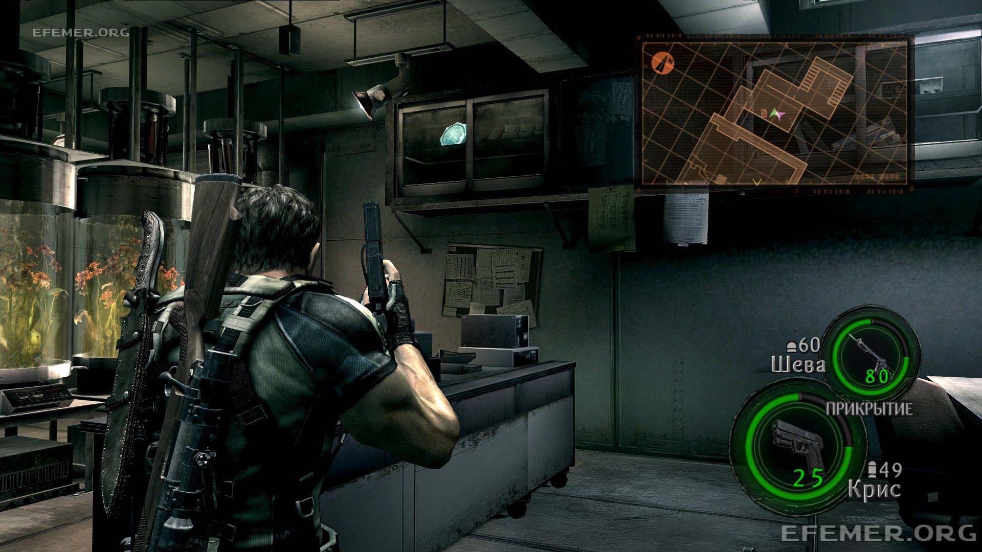 Read more about the article Все эмблемы 6 главы в игре Resident Evil 5