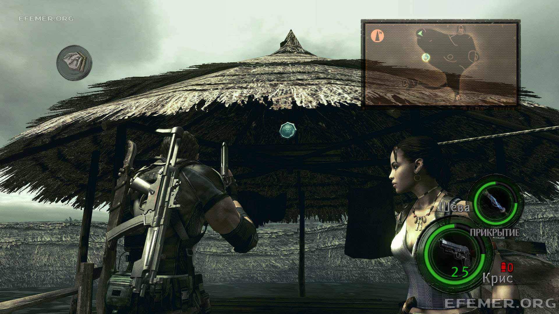 Read more about the article Все эмблемы в 3 главе Resident Evil 5