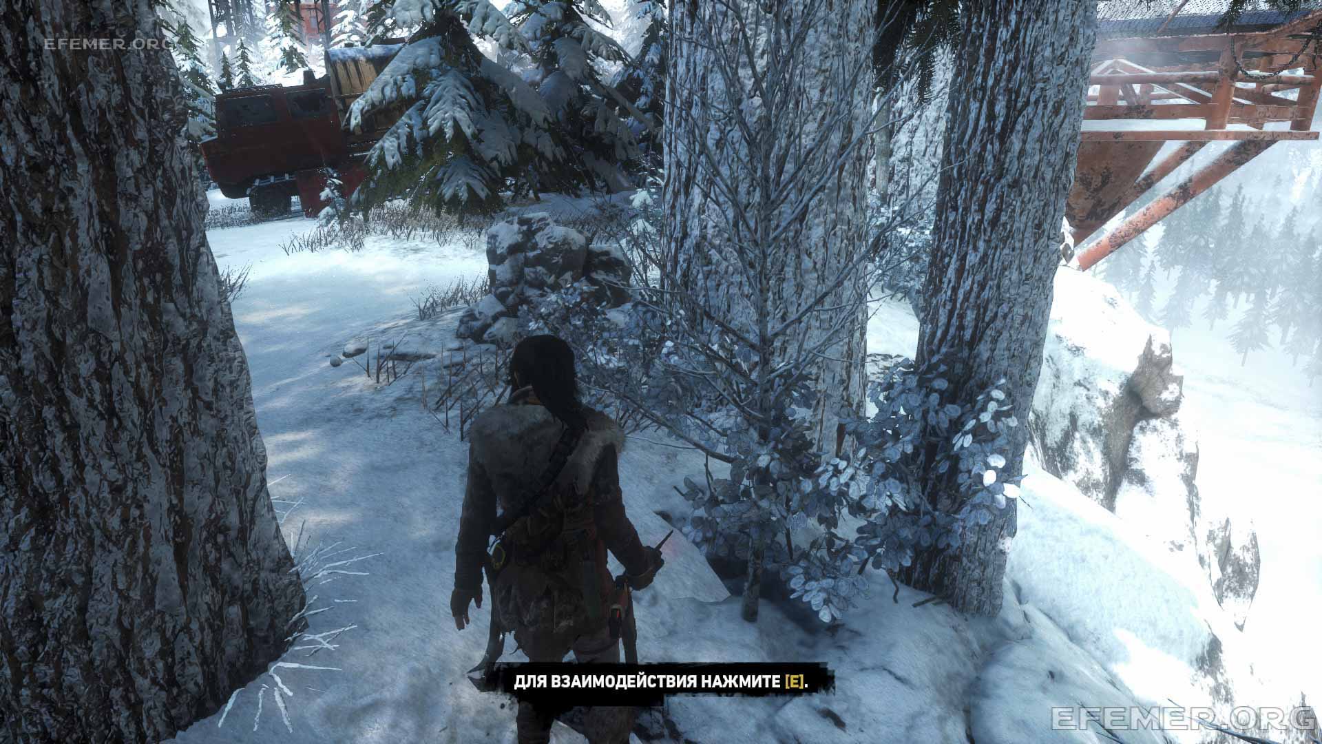 Аварийный тайник №3, закопанный рядом с обрывом, Rise Tomb Raider