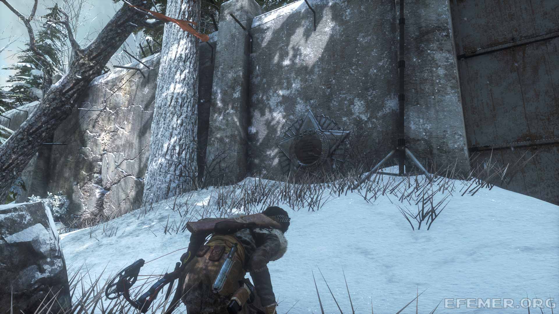 Вымпел-фреска, висящий на стене Вымпел-фреска, висящий на стене, Rise Tomb Raider
