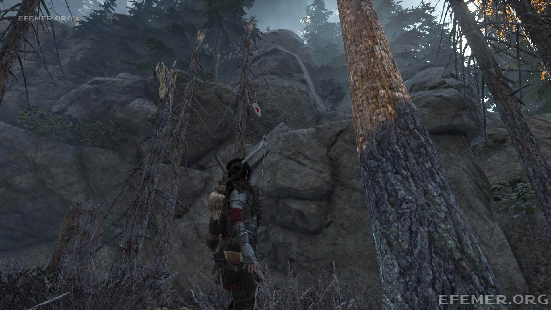 Мишень №2, висящая рядом с деревом, Rise Tomb Raider