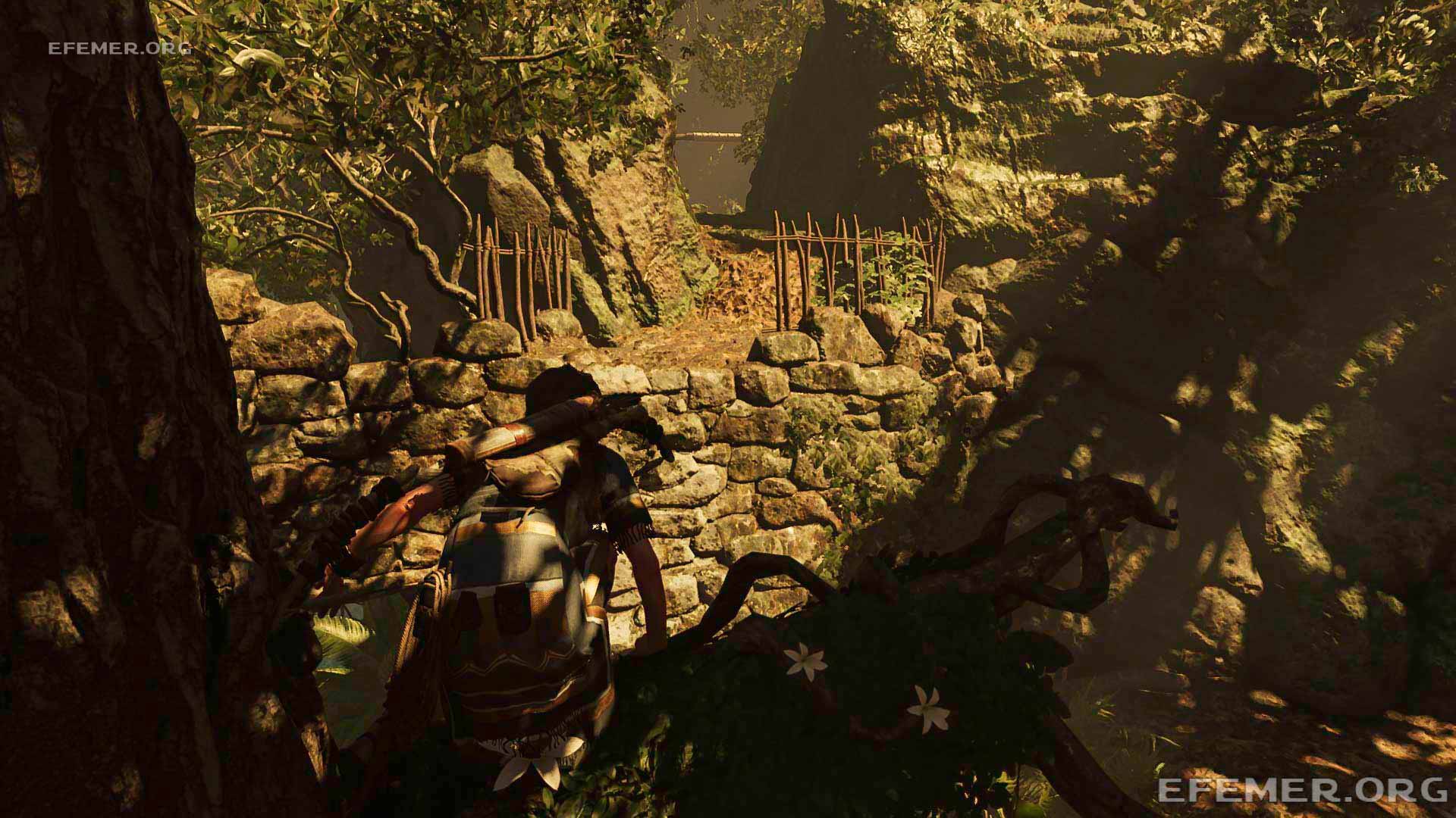 Брус напротив дерева, Shadow Tomb Raider