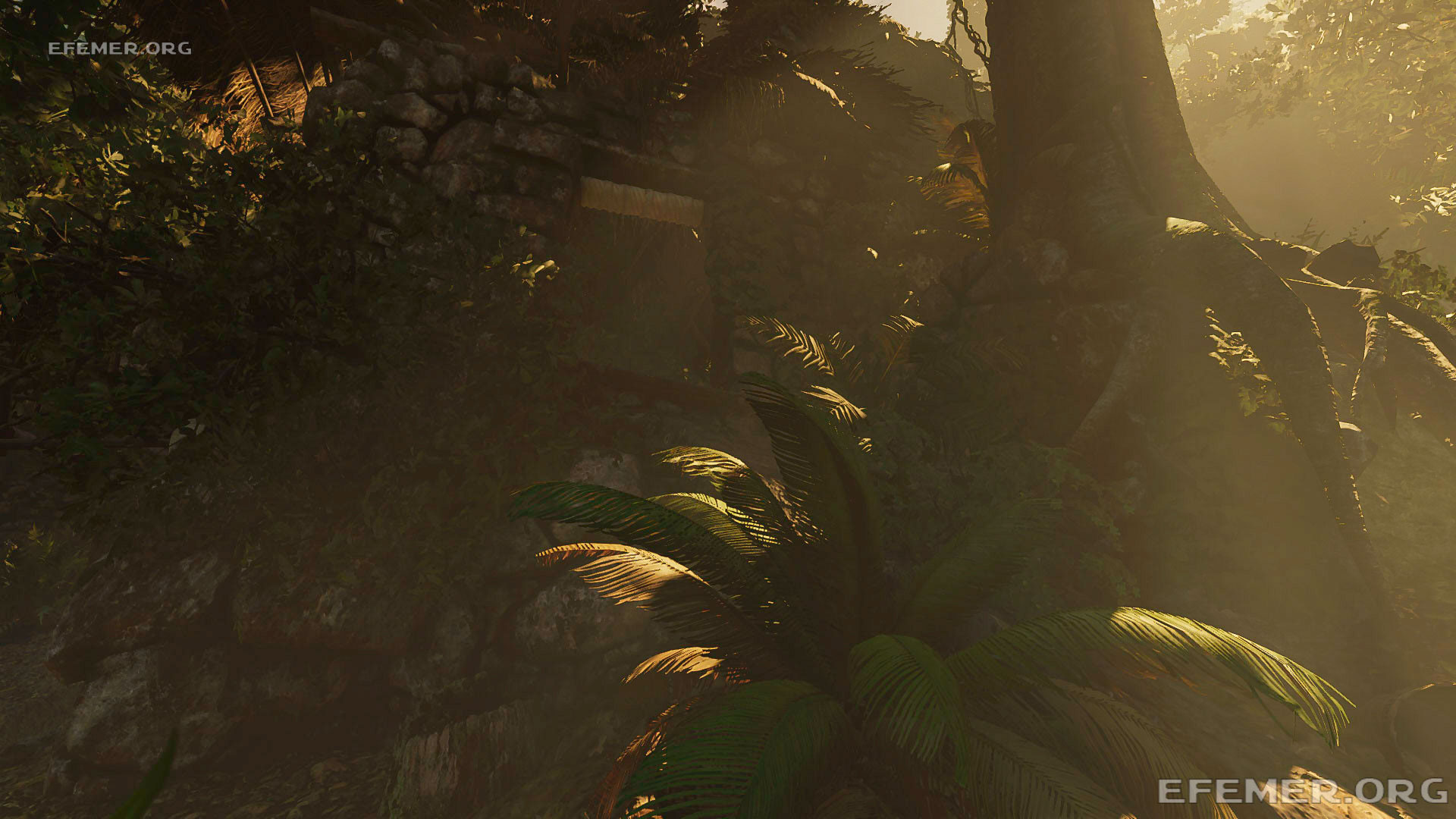 Лачуга, в которой скрыта карты архивариуса №4, Shadow Tomb Raider