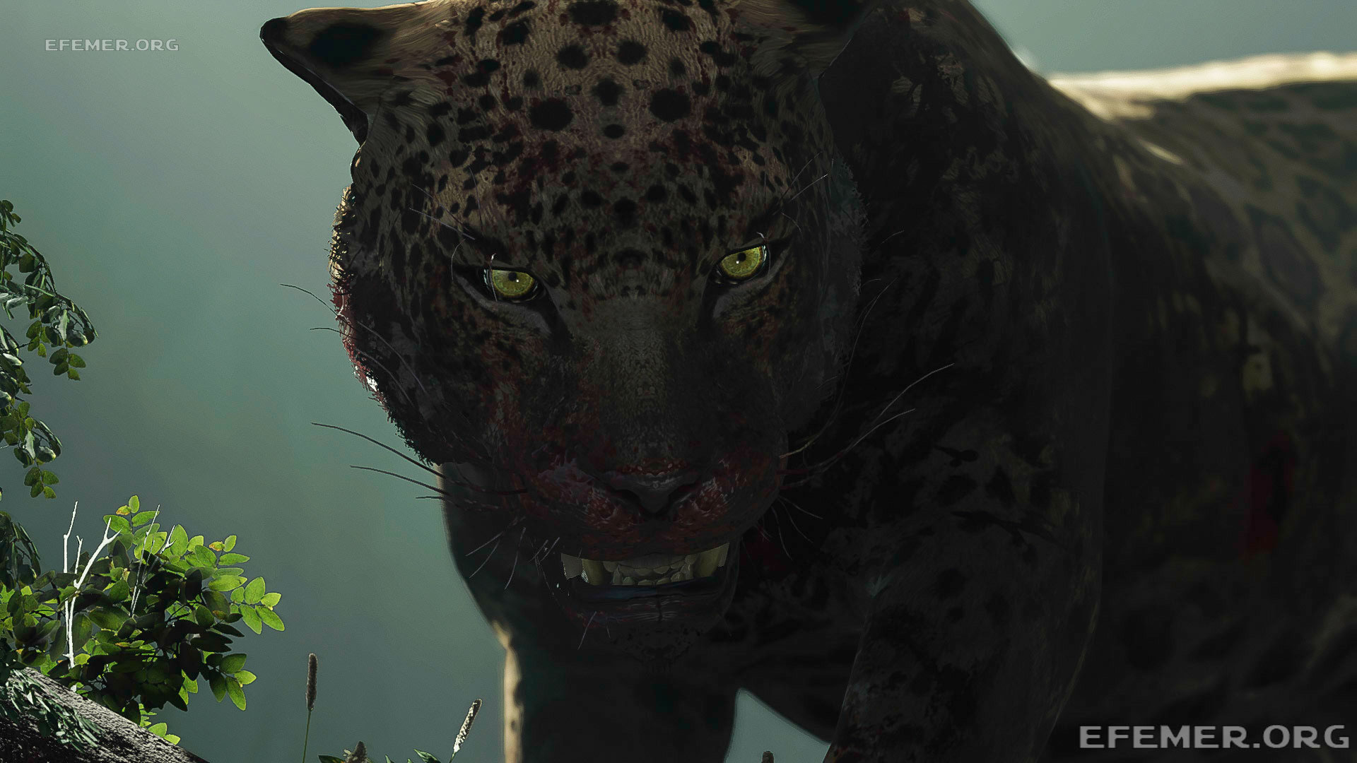 Read more about the article Все предметы в локации «Перуанские джунгли» — Shadow Tomb Raider