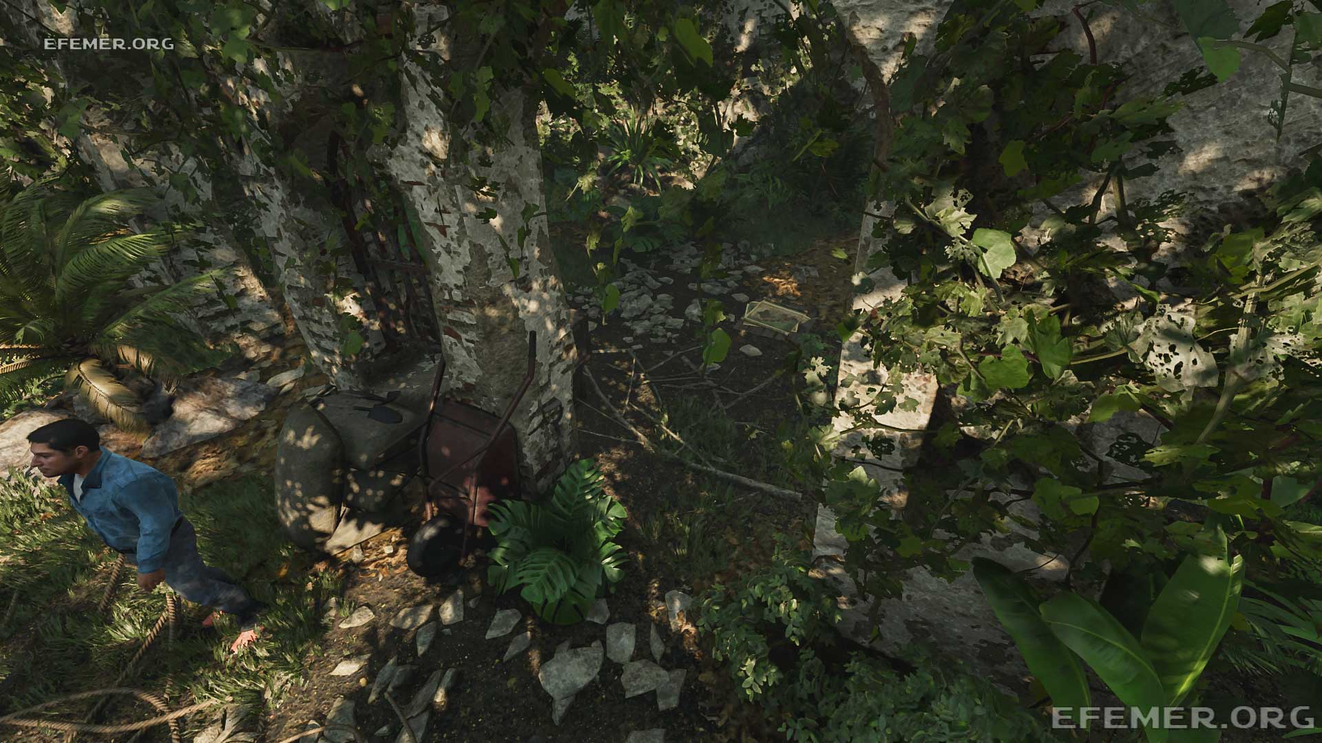 Карта архивариуса №1, валяющаяся на земле, Shadow Tomb Raider