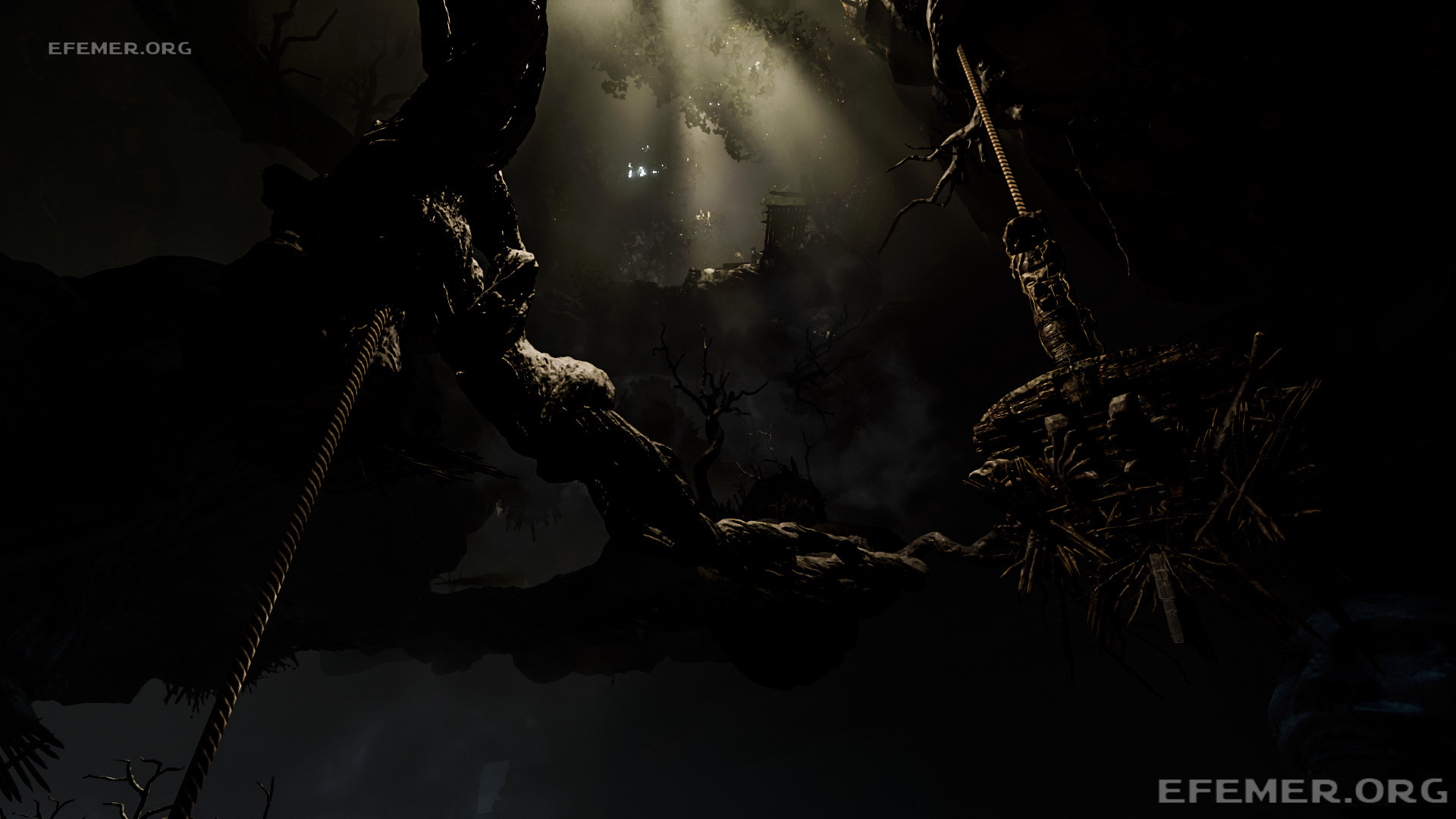 Read more about the article Все предметы в гробнице «Дерево жизни» — Shadow Tomb Raider