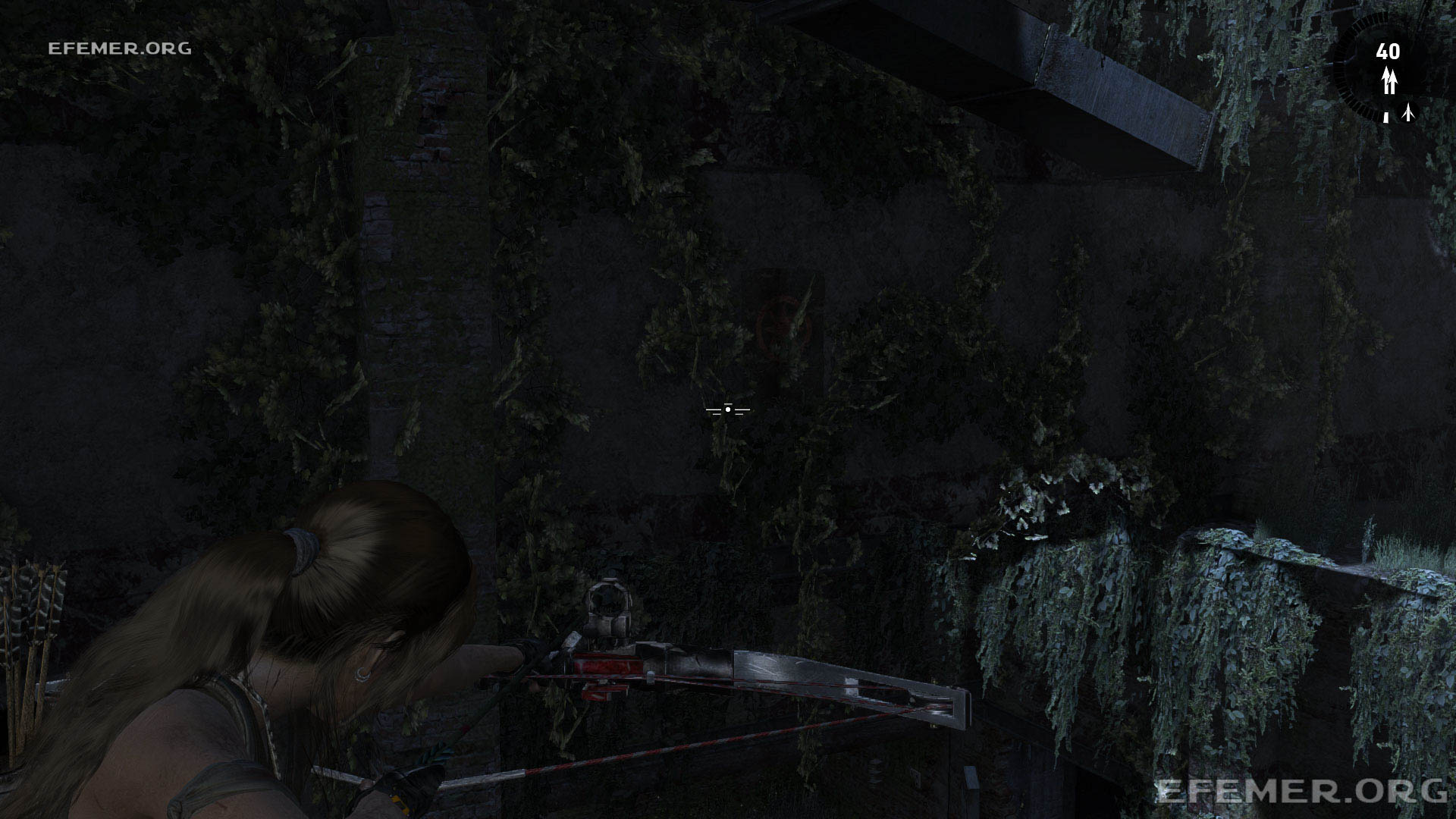 Флаг №2, скрытый среди зелени, Tomb Raider 2013