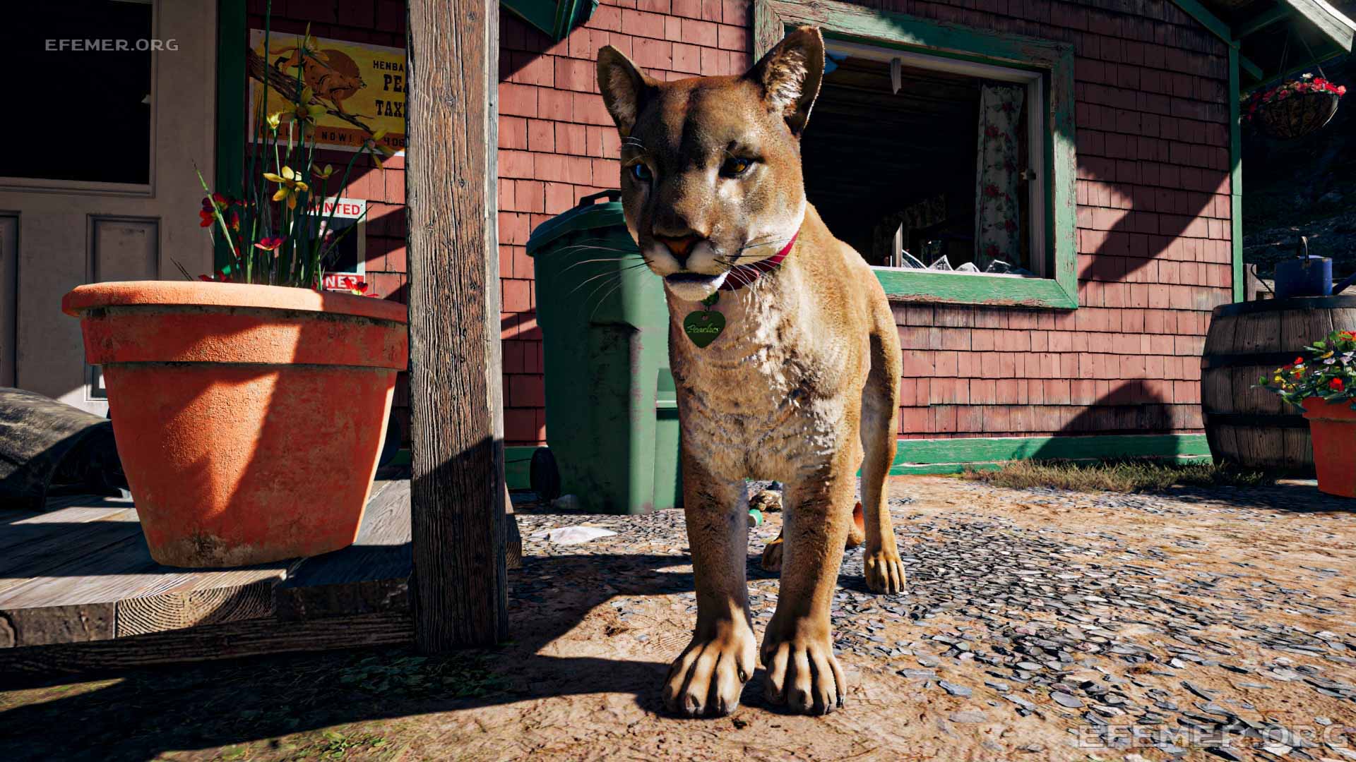 Персик - Кошка-электровеник из игры Far Cry 5