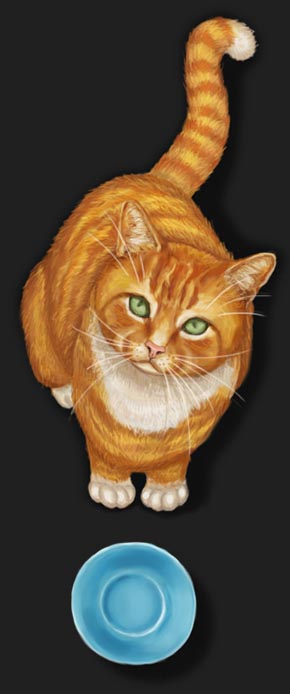 Кот Донатик