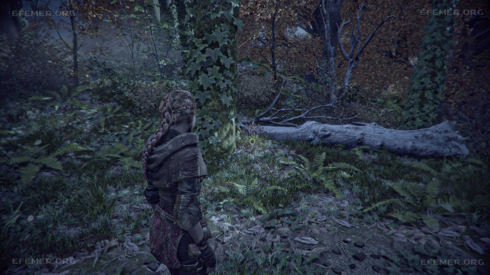 Лаванда растущая возле бревна Лаванда растущая возле бревна, игра A Plague Tale Innocence