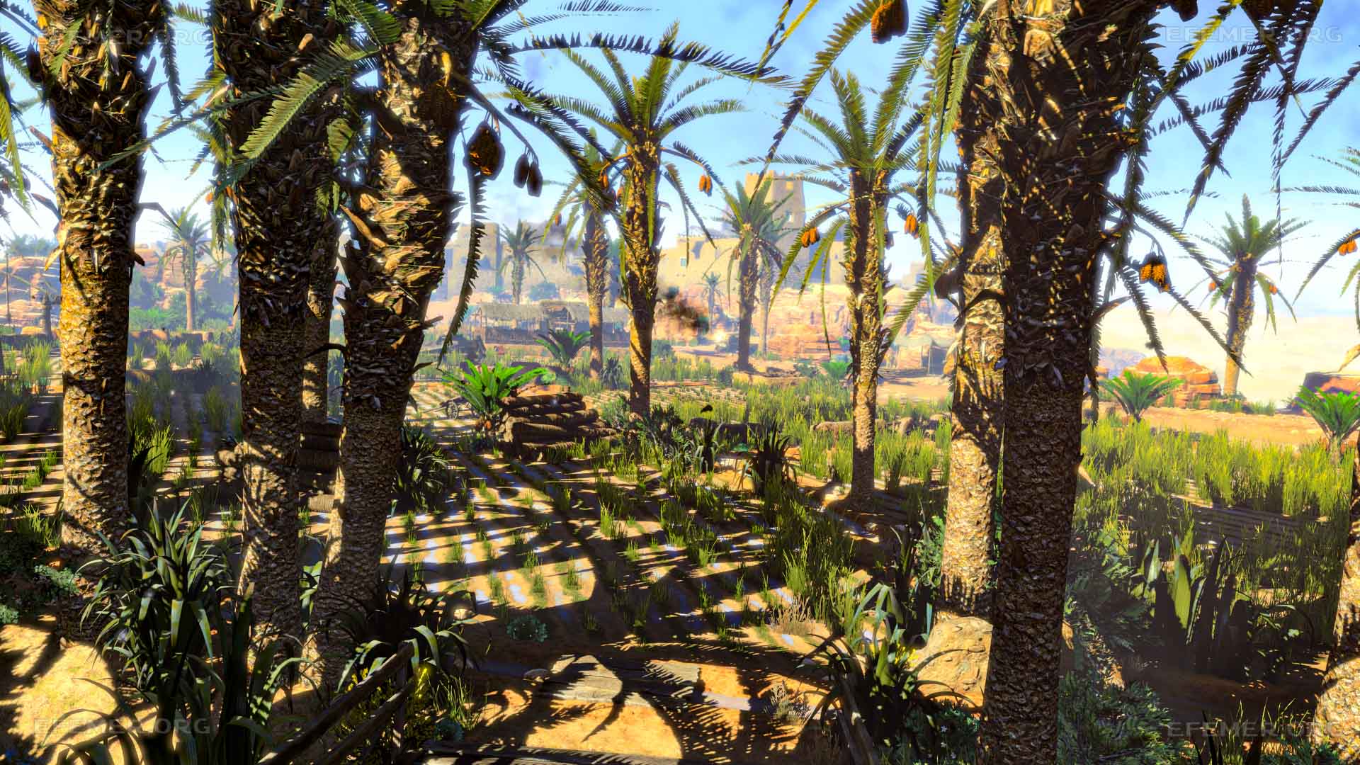 Скриншот оазиса Сива из игры Sniper Elite 3