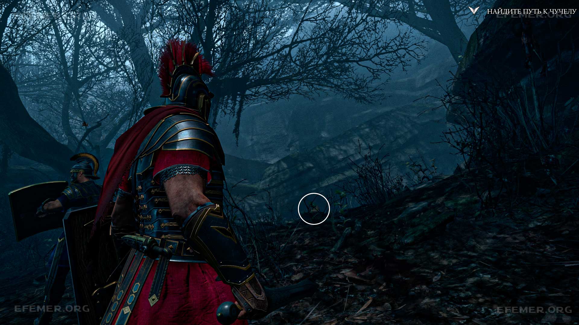 Хроника №20, скрытая в траве, Ryse: Son of Rome