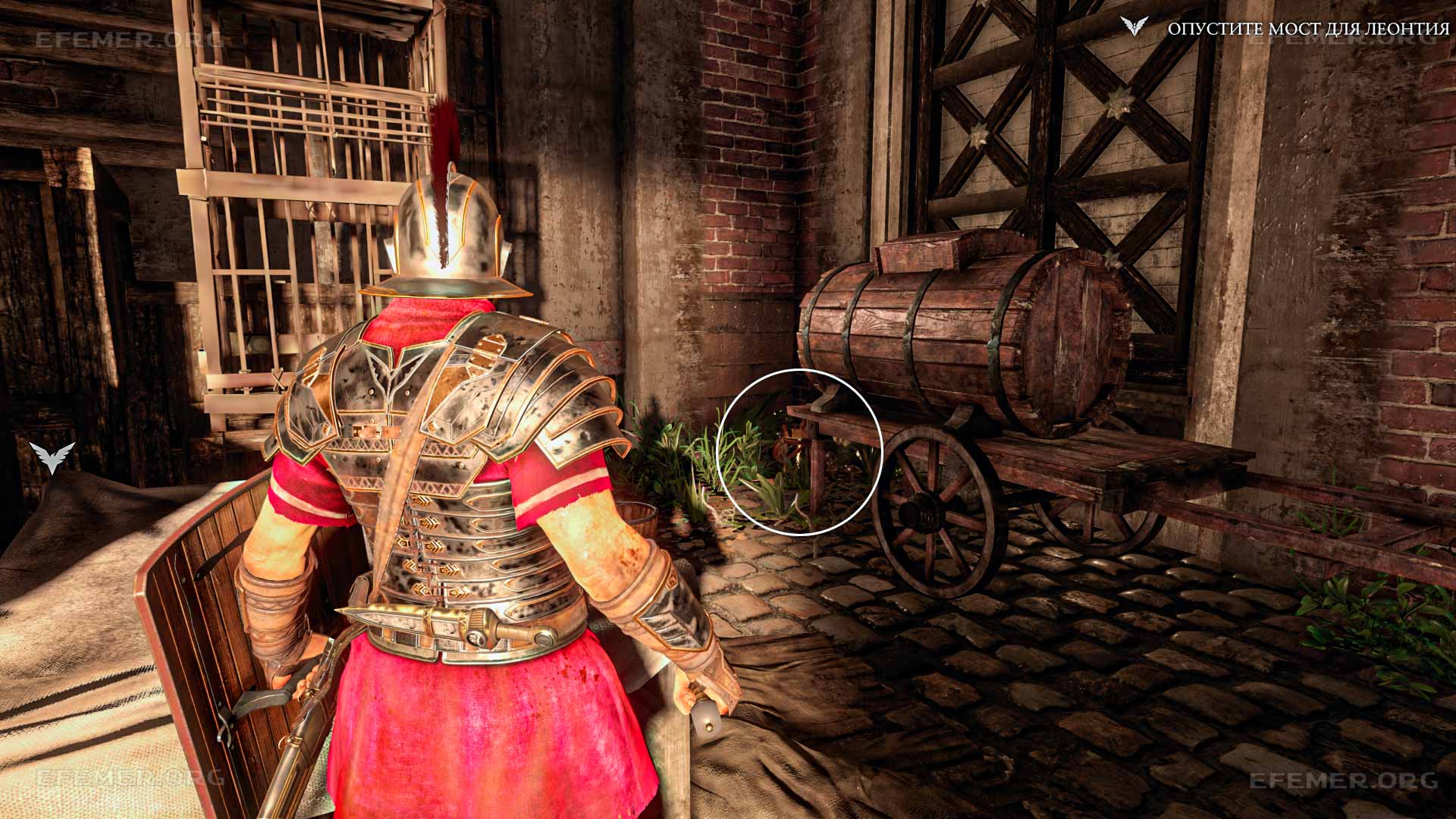 Хроника №6, скрытая за бочкой Хроника №6, скрытая за бочкой, Ryse: Son of Rome